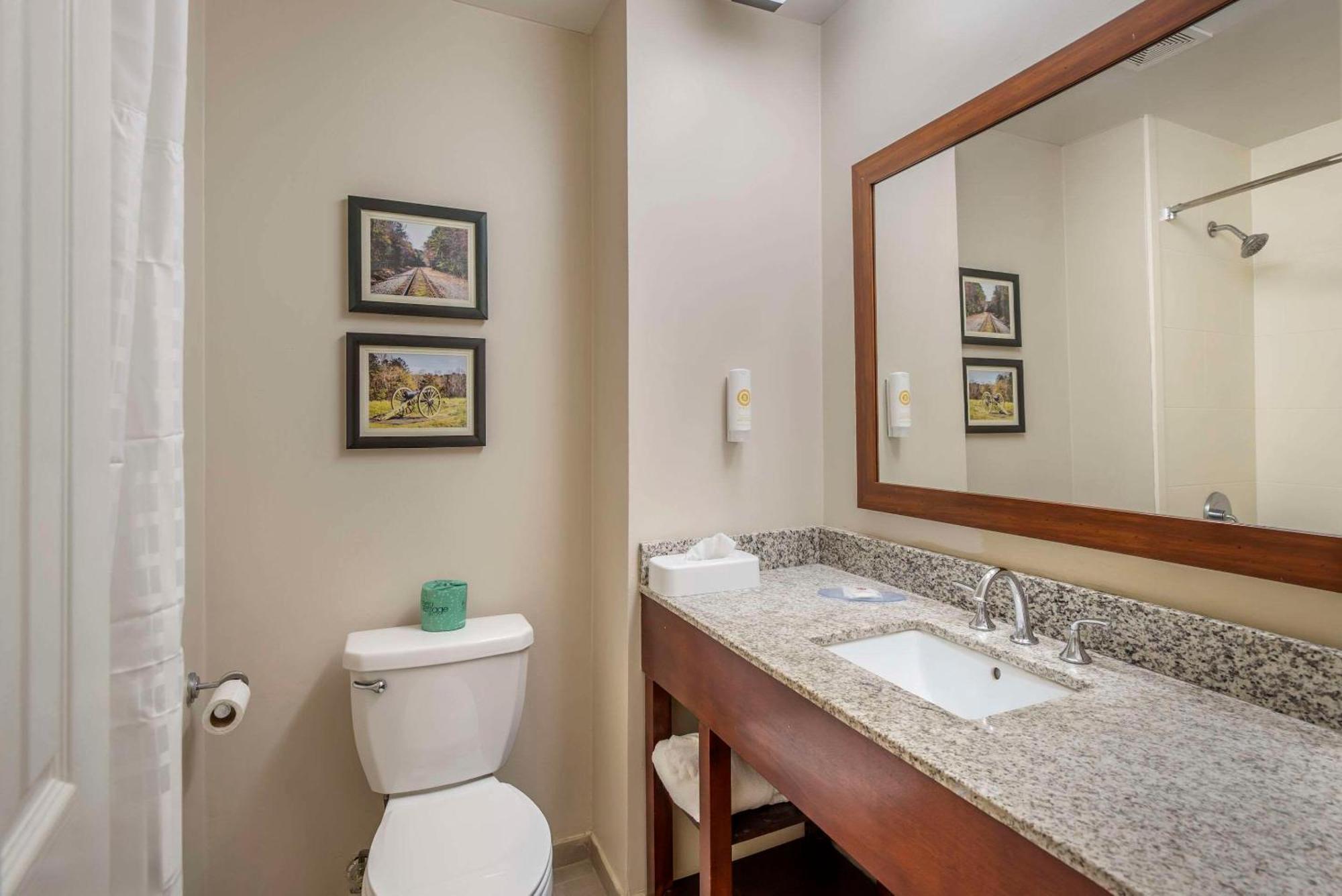 Comfort Inn Petersburg - Fort Lee Eksteriør bilde