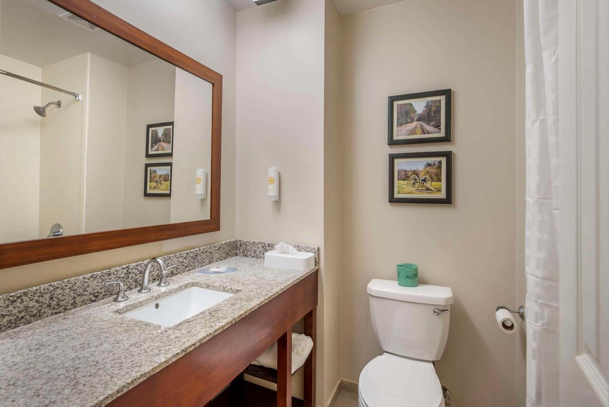 Comfort Inn Petersburg - Fort Lee Eksteriør bilde